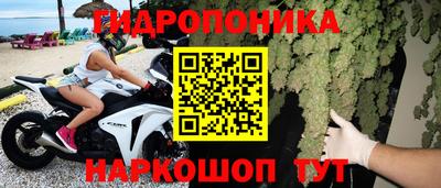 герыч Кингисепп