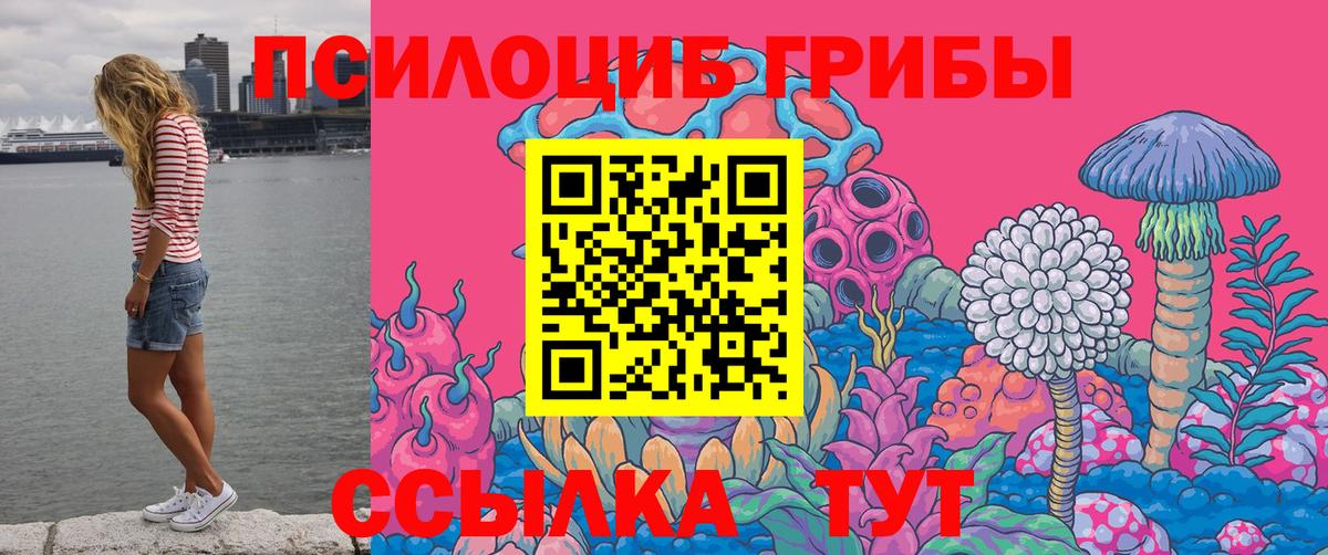 даркнет сайт  Псилоцибиновые грибы Psilocybine cubensis  Вход с VPN  Кубинка 