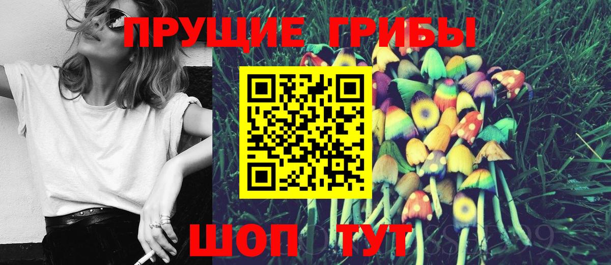 Галлюциногенные грибы Psilocybine cubensis Кубинка